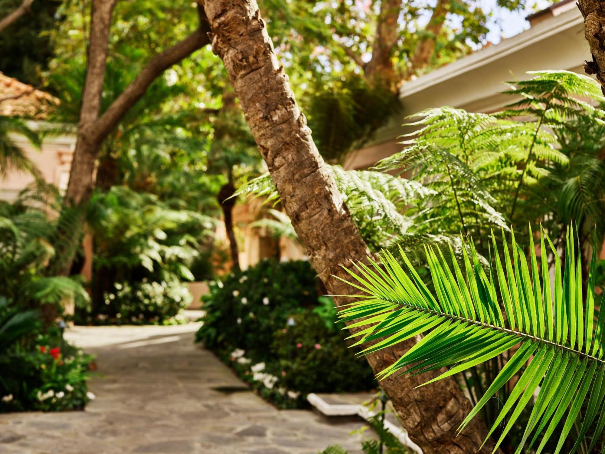 Hotel Bel-Air - Dorchester Collection — Foto’s 2
